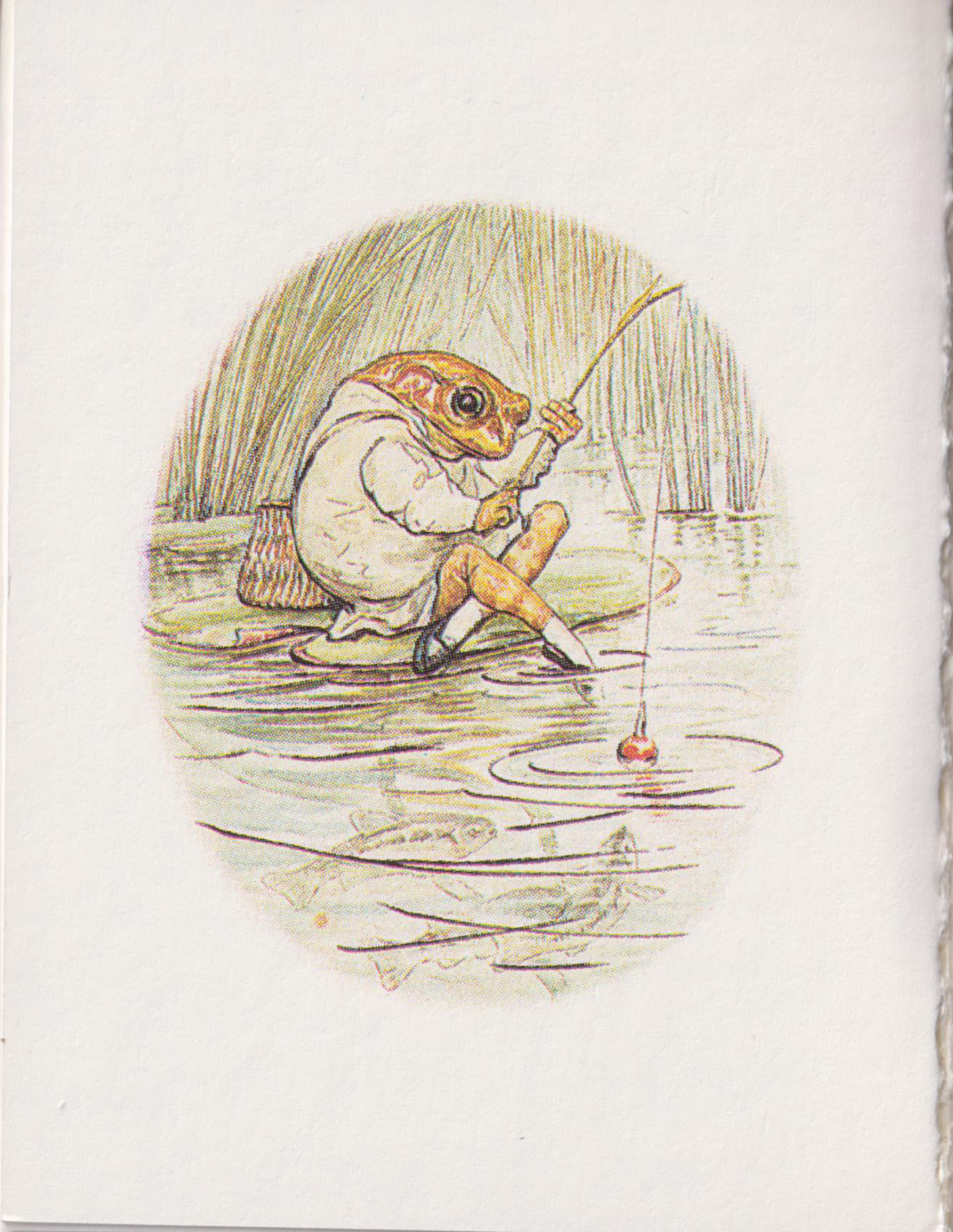 The Tale of Mr. Jeremy Fisher