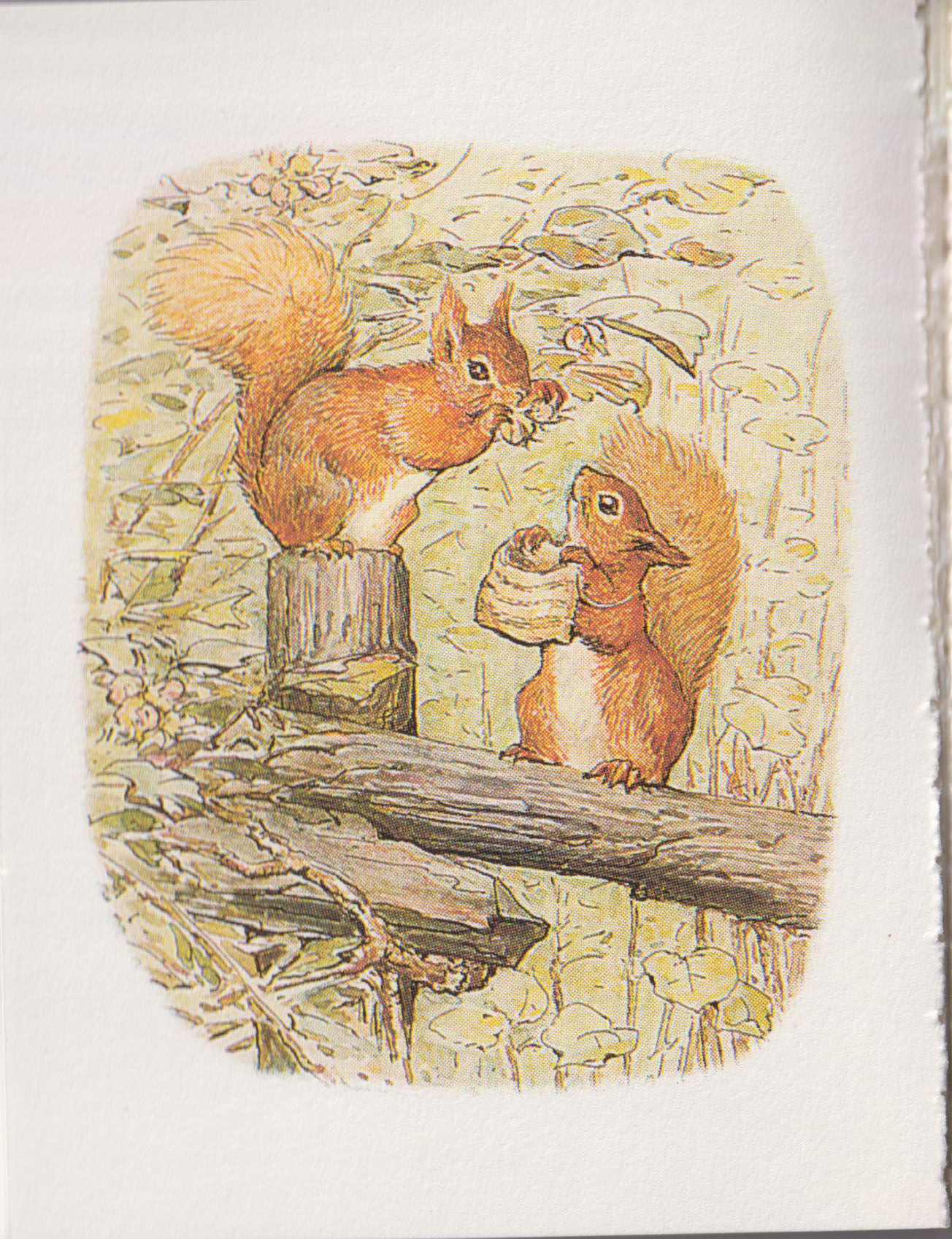 The Tale of Squirrel Nutkin