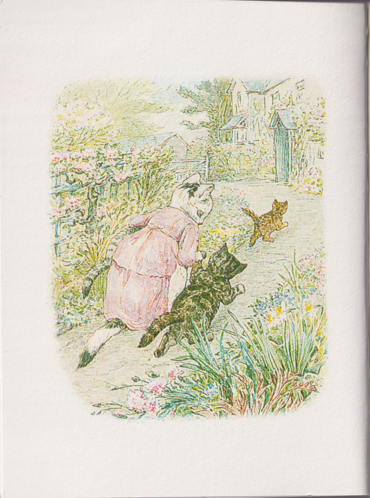 The Tale of Tom Kitten